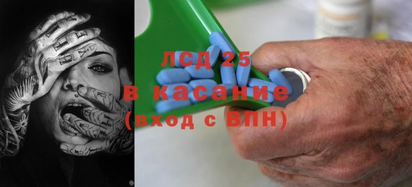 индика Верхний Тагил