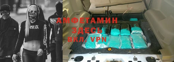 трава Белокуриха