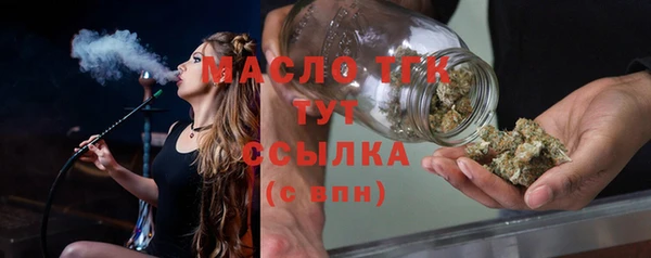 индика Верхний Тагил