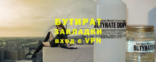 индика Верхний Тагил
