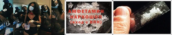 индика Верхний Тагил