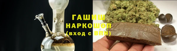 индика Верхний Тагил