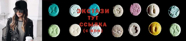 индика Верхний Тагил