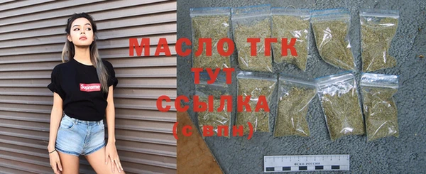 индика Верхний Тагил