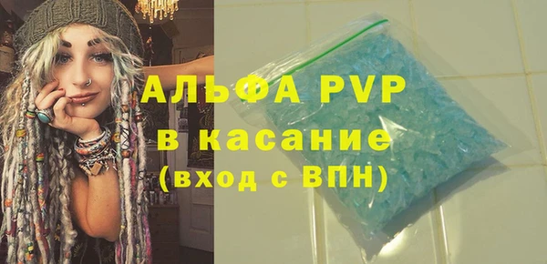 индика Верхний Тагил